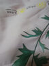【京东快递】艾草驱蚊夏凉被 单双人可水洗机洗 不跑棉夏被 粉红色 70x100cm 实拍图