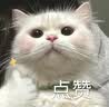 玫斯（metz）无谷物生鲜狗粮 全价粮通用犬粮金毛哈士奇边牧宠物主粮 无谷低敏成犬 10kg 实拍图