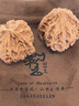 山中玉文玩核桃狮子头闷尖手把件古玩麻核桃秋子核头爸妈新年送礼物原色 【精配】进阶级38-39mm平果园1对 实拍图