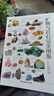 矿物与岩石完全图鉴   直观、立体全方位鉴别与分析，轻松认识矿物与岩石 实拍图