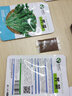 昂启蔬菜种子四季播盆栽阳台庭院香菜生菜菠菜小葱简单秋易种籽孑大全 荠菜 约800粒 实拍图