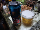 寳岛阿里山 啤酒 清爽型 大容量 易拉罐 易拉罐3.6度 500ml*3瓶 3瓶装 实拍图