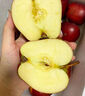 味果生甘肃天水花牛苹果应季新鲜水果刮泥粉面宝宝辅食蛇苹果整箱送礼 3斤中果【70-75mm】 实拍图