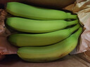 精品云南香蕉高山香蕉现摘新鲜水果甜生青香蕉banana自然熟绿皮 精品高山蕉 5斤 实拍图