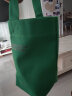 春熙小姐简约设计小书包ins迷你手提帆布包包女2023潮手拎包遛弯随意拎袋 绿色 晒单实拍图