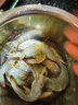虾有虾途国产青岛大虾白虾青虾基围虾鲜虾冷冻生鲜虾类鲜活特大海捕整箱装 16-18厘米特大号 3.6斤(净重) 实拍图