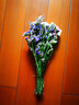 云南勿忘我干花花束真花鲜花发货自然风干客厅装饰摆设件茶几送人 6色混搭+草 10支(长35厘米) 实拍图