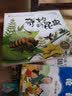 小果树儿童科普读物绘本全套5册大自然的奥秘奇妙的昆虫6-10岁幼儿科普故事书幼儿动物植物科学探索痒痒树的秘密暑期阅读科学启蒙 实拍图