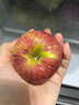 于小乖陕西秦冠粉面沙甜新鲜水果老人婴儿刮泥丑苹果(粉面需放置几天） 甄选5斤中果（净重4.5-4.8） 实拍图