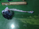 达瓦（DAWA）德国动力技术割草机除草机打草机四冲程汽油机水稻收割机电动农具 背负式整机+豪华大礼包 实拍图