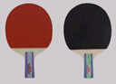 红双喜两拍一球I型套拍家庭娱乐健身乒乓球拍 实拍图