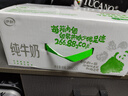 伊利【10月新货】伊利纯牛奶200ml*24盒整箱无菌砖装学生早餐奶礼盒 10月产-纯牛奶200ml*24盒 实拍图