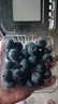 高原蓝莓125g盒新鲜当季水果蓝梅鲜果云南高山进口怡颗甜蓝莓孕妇 巨无霸大果20mm+4盒 实拍图