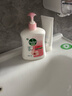 滴露（Dettol）洗手液消毒抑菌滋润500g+500g补充装儿童家庭护手替换 实拍图
