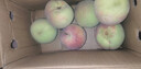 山东当季青州蜜桃新鲜脆甜可口毛桃冬桃产地直发-鲜集 青州蜜桃带箱2斤 实拍图