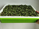寿禾 芽苗菜盘带盖保温无土栽培水培种植盘 保温育苗盘*1 实拍图