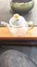 锦格玻璃茶壶耐高温功夫茶具小号过滤可烧煮茶透明家用简约加厚泡茶器 H-22茶壶黄色把 260ml 实拍图