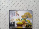 柳莺花燕免打孔电表箱装饰画现代简约客厅餐厅挂画电闸箱配电箱遮挡壁画 家和富贵 55X45遮挡45X35 液压款 实拍图