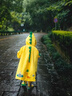 lemonkid儿童雨衣男童女宝宝雨披斗篷式小学生雨具 乐奇喷火龙 L 实拍图