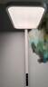 欧司朗（OSRAM）立式护眼大路灯落地台灯【国家补贴】全光谱长颈鹿学习灯C 系列 实拍图
