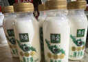 伊利金典全脂鲜牛奶235ml*4巴氏杀菌低温奶【李宇春推荐】 实拍图