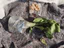 萌肉居沙漠玫瑰四季种植盆栽花卉绿植长花期室内随机色原盆土源头直发 实拍图