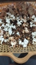 米乐谷（MI LE GU）微波炉爆米花100g袋装玉米粒奶油网红零食小吃膨化休闲食品年货会 奶油+甜橙+草莓【 100g*10包 】 实拍图