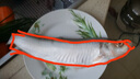 品鲜肴淡水鱼生态翘嘴鱼白鱼/翘嘴鲌大白刁鱼自然捕获鲜活现杀生鲜水产 500g /条（宰杀后三去净重400g） 实拍图