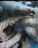 禧美海产 厄瓜多尔巨无霸白虾 去冰净重3斤 30-40只/kg 盐冻大虾 海鲜水产 实拍图