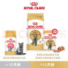 皇家（ROYAL CANIN）猫粮（Royal Canin） 英短成猫粮全价粮 英短成BS34 【人气推荐】2kgX2 实拍图