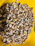 海螺瓜子 鲜活发货 新鲜海螺丝 吐沙干净 肉质饱满 顺丰空运 1kg 实拍图