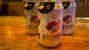 Helens海伦司奶啤300ml*12罐整箱乳酸菌发酵风味饮品含乳饮料夏日饮品 奶啤*12罐【普通装】 实拍图