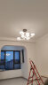 欧普星格北欧现代简约大气客厅卧室餐厅LED吊灯 MZD910-100W(适用12~20㎡)-8头 晒单实拍图