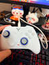飞智冰原狼4多模版无线游戏手柄 类xbox 力调节摇杆双切扳机 switch电脑PC手机steam体感NS 丝之歌 实拍图