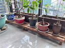 京柳（JINGLIU）花架置物架实木碳化阶梯多层阳台落地防腐木室内户外绿萝花盆架子 长款长80*宽25*高12 晒单实拍图