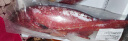 鲟食 海捕东星斑鱼 鲜活冷冻石斑鱼生鲜鱼类春节年货送礼海鲜礼盒 海捕东星斑 1000-1100g/条 实拍图