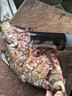 三个小厨电动刮鱼鳞神器刨刮鳞器打鱼鳞器防水全自动无线刮鱼鳞机家用商用 【15000r/min转速+6叶刀头】充电 实拍图