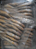 舟山海捕小黄鱼野生细麟小黄鱼新鲜速冻生鲜鱼类火锅食材 1000g（约15-18条/斤） 实拍图