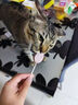 朗诺 RANOVA 猫零食冻干棒棒糖14g混合味 实拍图