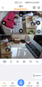 纽曼无线家用智能AI摄像头1200万高清监控器360度无死角带夜视全景语音手机远程对话讲室内外家庭云台 实拍图