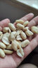 咕唧噜 花生米生熟原味大颗粒无壳脱皮花生仁碎 大颗粒脱皮（生） 500g*1袋 实拍图