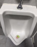柯鲸 家用感应小便器壁挂式男士感应器小便池挂墙式智能自动冲水 B款 悬挂式+手动开关+地排 实拍图