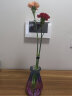 TaTanice 玻璃花瓶 插花瓶干花仿真花水培插花玫瑰百合花富贵竹器客厅摆件 实拍图