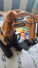 索迪儿童玩具rc遥控车合金挖掘挖土机工程车电动挖机模型男孩生日礼物 实拍图