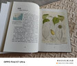 植物猎人的世界收藏：英国皇家植物园珍藏画作背后的发现之旅 安布拉·爱德华兹 著 中信出版社京东超级618 实拍图