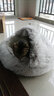 KimPets猫窝四季通用宠物小猫咪屋被子冬季保暖猫狗窝冬天用品封闭式猫床 柔制水晶绒（咖啡色） 柔软包裹 直径50cm，适合20斤内宠物 实拍图