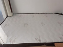 香榭柏兰 椰棕床垫棕垫硬棕榈床垫子 天然乳胶榻榻米床垫定做定制 9CM厚（防螨面料+5cm椰棕+1CM乳胶） 1.2米*1.9米 实拍图