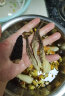 川珍七彩菌汤包60g 菌菇火锅食材汤料包山珍羊肚菌煲汤食材云南特产 实拍图