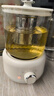 养生壶烧水壶热水壶恒温壶煮茶壶泡茶壶一体玻璃全自动小家用多功能办公室大容量 0.7L 机械款养生壶【单壶+茶漏】 实拍图