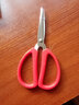 保联剪刀家用经典红色厨房剪办公文具剪纸小剪刀不锈钢手工线剪子多个 【大号】19.5cm 实拍图